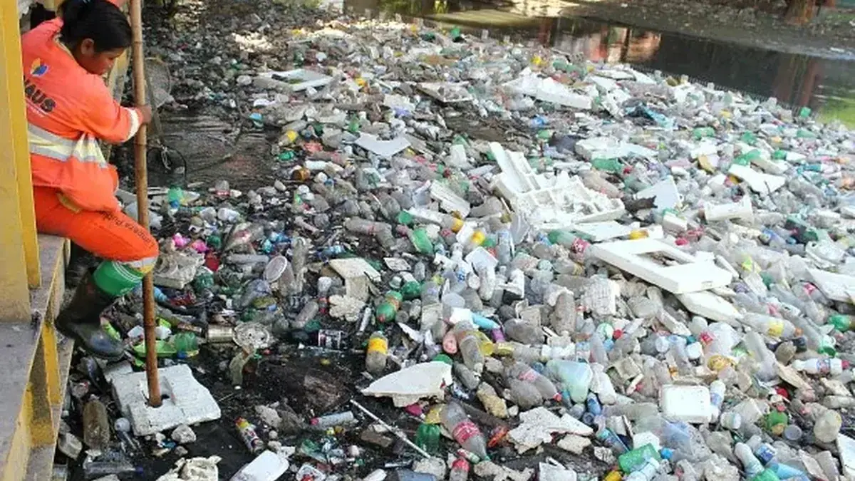 Contaminação de rios por agrotóxicos: como ocorre e como prevenir